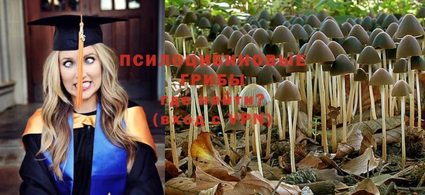 спиды Алексеевка