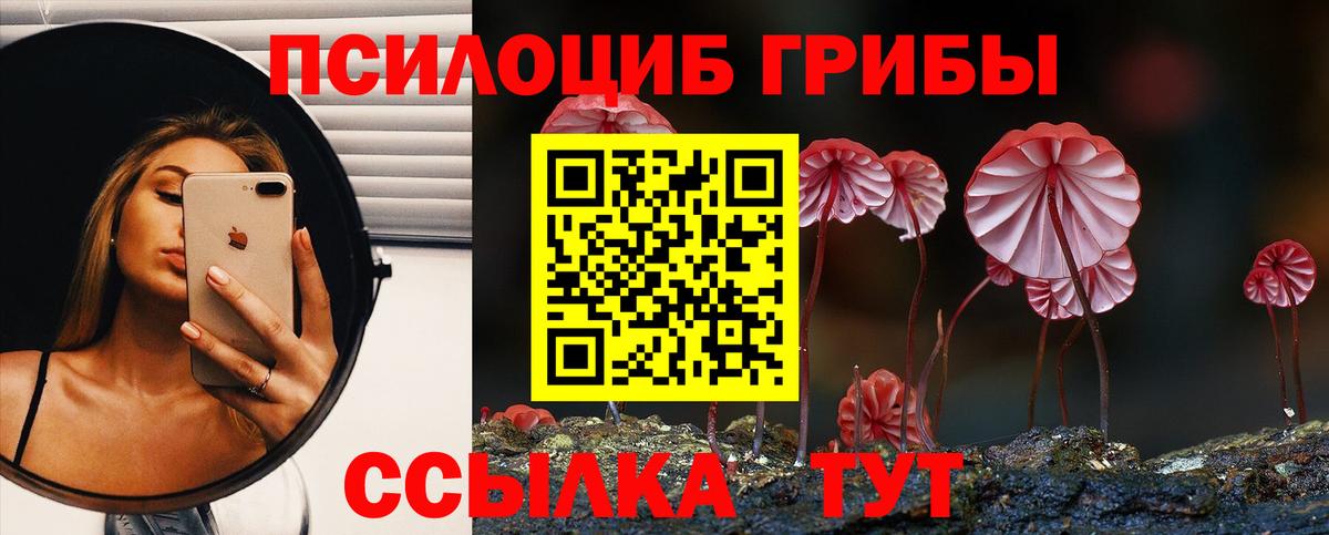 Галлюциногенные грибы Psilocybine cubensis Елабуга