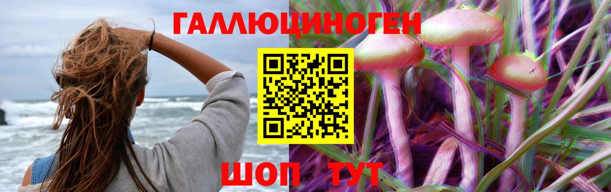 Елабуга  Псилоцибиновые грибы Cubensis  Псилоцибиновые грибы мухоморы  Вход с VPN 